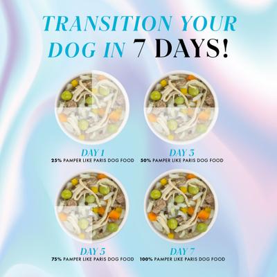 Show full view: Pamper Like Paris Non-GMO Chicken Dinner with Rice & Pumpkin Shredded Wet Dog Food, 2.75-oz cup, case of 10 slide 10 of 11