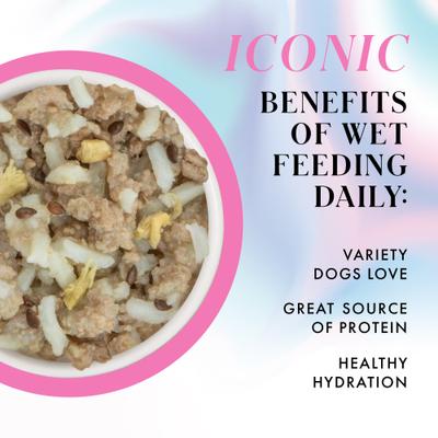 Show full view: Pamper Like Paris Non-GMO Duck & Rice Dinner Shredded Wet Dog Food, 2.75-oz cup, case of 10 slide 4 of 11