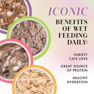 Show full view: Pamper Like Paris Sliving for The Gravy Variety Pack Grain-Free Shredded Wet Cat Food, 2.47-oz can, case of 12 slide 4 of 11