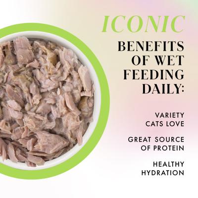 Show full view: Pamper Like Paris Tuna Dinner Grain-Free Shredded Wet Cat Food, 2.47-oz can, case of 12 slide 4 of 10