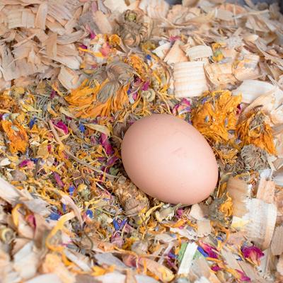 Show full view: Pampered Chicken Mama Best Eggs Ever Poultry Nesting Box Herbs, 4-lb bag slide 6 of 9