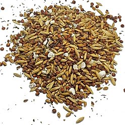 Pampered Chicken Mama Scratch Chicken Feed, 10-lb bag slide 2 of 7