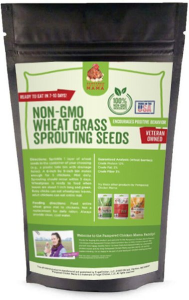Pampered Chicken Mama Wheatgrass Fodder Seeds Chicken Treats, 3-lb bag