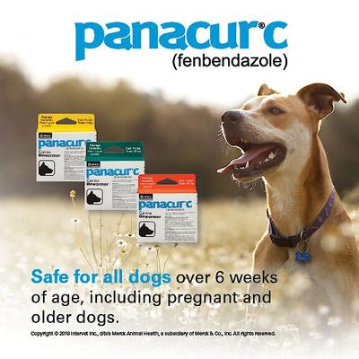 Show full view: Panacur C Canine Dewormer, 1-g, 3 count slide 8 of 10