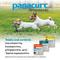 Show in main carousel: Panacur C Canine Dewormer, 2-g, 3 count slide 6 of 9