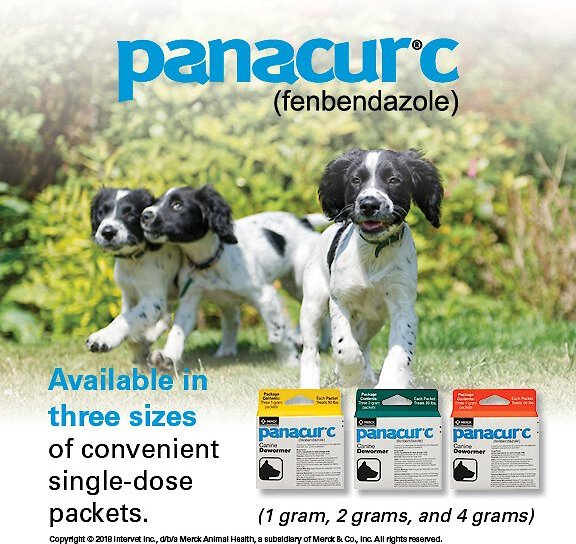 Panacur C Canine Dewormer, 2-g, 3 count