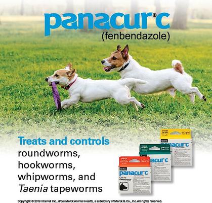 PANACUR C Canine Dewormer, 4-g, count