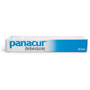 Panacur Fenbendazole 10% Paste Horse Dewormer, 25g, 1 count