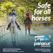Show in main carousel: Panacur Fenbendazole 10% Paste Horse Dewormer, 25g, 1 count slide 7 of 9