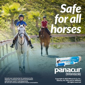 Panacur Fenbendazole 10% Paste Horse Dewormer, 25g, 1 count