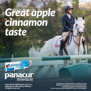 Panacur Fenbendazole 10% Paste Horse Dewormer, 25g, 1 count