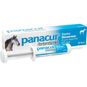 Panacur Fenbendazole 10% Paste Horse Dewormer, 25g, 1 count