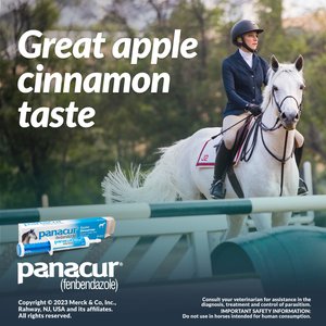 Panacur Fenbendazole 10% Paste Horse Dewormer, 25g, 1 count