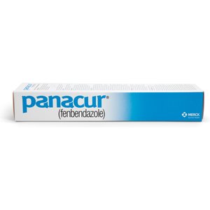 Panacur Fenbendazole 10% Paste Horse Dewormer, 25g, 1 count