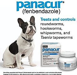 Panacur Granules 22.2% for Dogs, 222 mg/g 1-lb slide 2 of 3