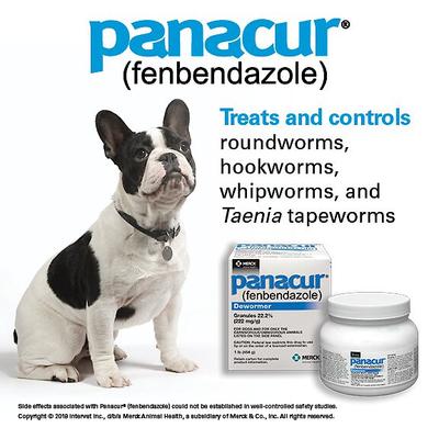 Show full view: Panacur Granules 22.2% for Dogs, 222 mg/g 1-lb slide 2 of 5