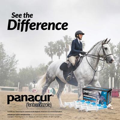 Panacur Powerpac Equine Paste 10% Horse Dewormer