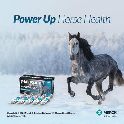 Panacur Powerpac Equine Paste 10% Horse Dewormer