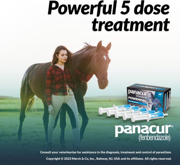 Panacur Powerpac Fenbendazole 10% Paste Horse Dewormer