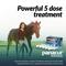 Show in main carousel: Panacur Powerpac Fenbendazole 10% Paste Horse Dewormer, 5 count slide 5 of 9