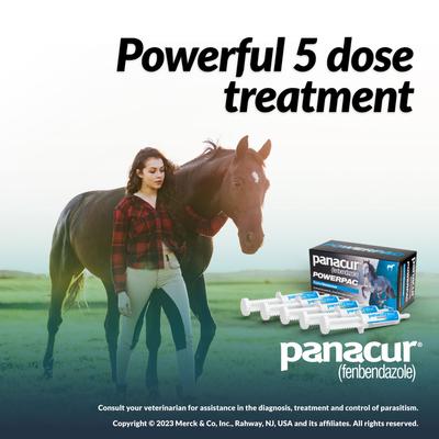 Show full view: Panacur Powerpac Fenbendazole 10% Paste Horse Dewormer, 5 count slide 5 of 9