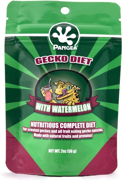Pangea Fruit Mix Gecko Diet Watermelon Food