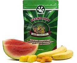 Pangea Fruit Mix Gecko Diet Watermelon Food, 8-oz bag