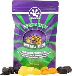 Pangea Gecko Diet with Fig & Insects Gecko Food, 16-oz bag