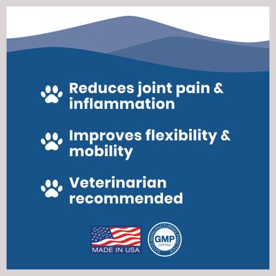 Show full view: Paramount Pet Health Extra Strength Glucosamine Hip & Joint Supplement for Dogs, 16-fl oz slide 4 of 8