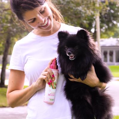 Show full view: Paris Hilton Pet Iconic Pet Deodorize & Detangle Dog Grooming Spray, Bergamot Scent, 10-fl oz bottle slide 9 of 11