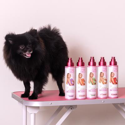 Show full view: Paris Hilton Pet Iconic Pet Deodorize & Detangle Dog Grooming Spray, Cucumber Melon Scent, 10-fl oz bottle slide 9 of 10