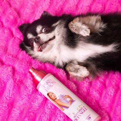 Show full view: Paris Hilton Pet Iconic Pet Deodorize & Detangle Dog Grooming Spray, Lavender Scent, 10-fl oz bottle slide 8 of 10