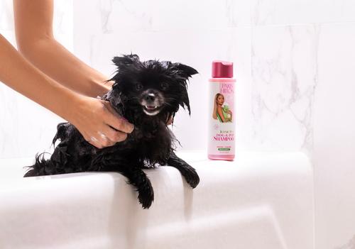 Show full view: Paris Hilton Pet Iconic Pet Dog Shampoo, Bergamot Scent, 16-fl oz bottle slide 9 of 11