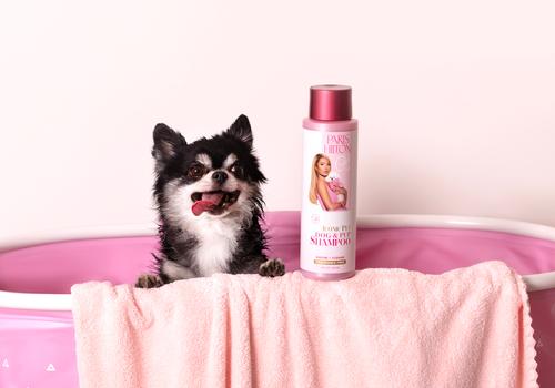 Show full view: Paris Hilton Pet Iconic Pet Dog Shampoo, Fragrance-Free, 16-fl oz bottle slide 7 of 10