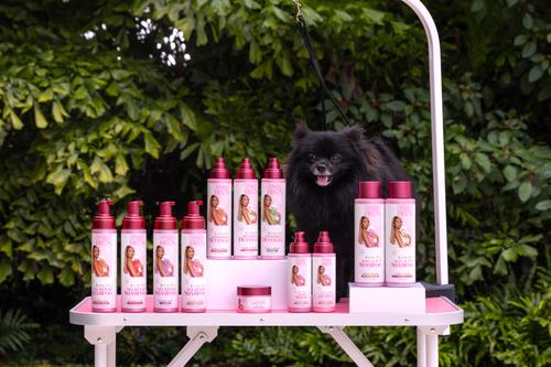 Show full view: Paris Hilton Pet Iconic Pet Dog Shampoo, Fragrance-Free, 16-fl oz bottle slide 9 of 10