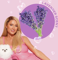 Paris Hilton Pet Iconic Pet Dog Shampoo, Lavender Scent, 16-fl oz bottle slide 2 of 9