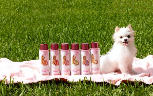 Show full view: Paris Hilton Pet Iconic Pet Dog Shampoo, Lavender Scent, 16-fl oz bottle slide 9 of 10