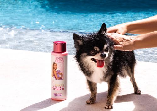 Show full view: Paris Hilton Pet Iconic Pet Dog Shampoo, Lavender Scent, 16-fl oz bottle slide 8 of 10