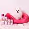 Show in main carousel: Paris Hilton Pet Iconic Pet Silken Serum Dog Conditioner, Fragrance-Free, 6-fl oz bottle slide 8 of 9