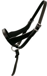 Paris Tack Double Layered Leather Adjustable Horse Foal Halter & Extra Crown, Black