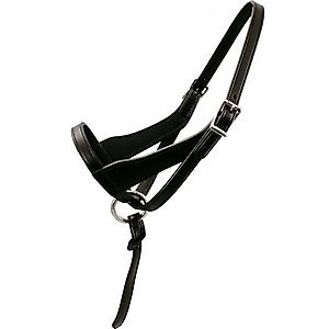 Paris Tack Double Layered Leather Adjustable Horse Foal Halter & Extra Crown, Black