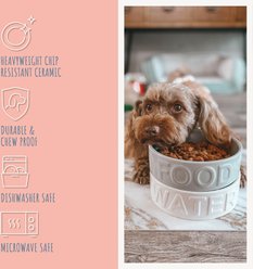 Park Life Designs Classic Ceramic Dog & Cat Bowl, 2 count, White, 2-cup slide 2 of 6