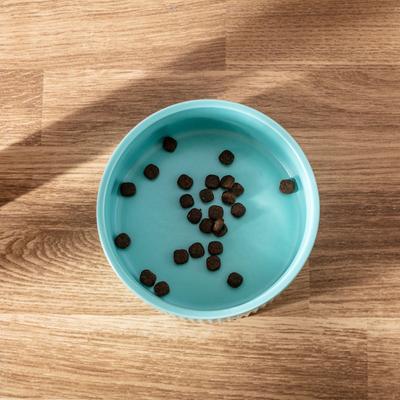 Show full view: Park Life Designs Jardin Ceramic Ribbed Effect Dog Bowls, 2 count, Blue, 4-cup slide 3 of 7