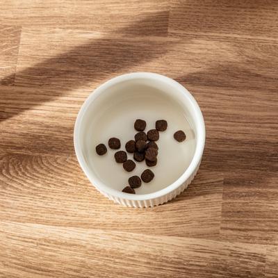 Show full view: Park Life Designs Jardin Ceramic Ribbed Effect Dog Bowls, 2 count, Cream, 2-cup slide 3 of 6