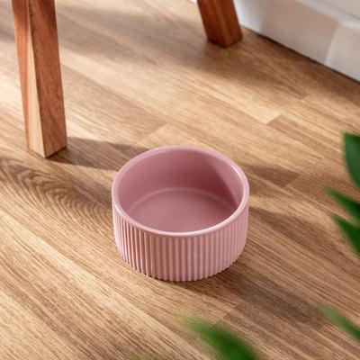 Show full view: Park Life Designs Jardin Ceramic Ribbed Effect Dog Bowls, 2 count, Pink, 2-cup slide 4 of 8