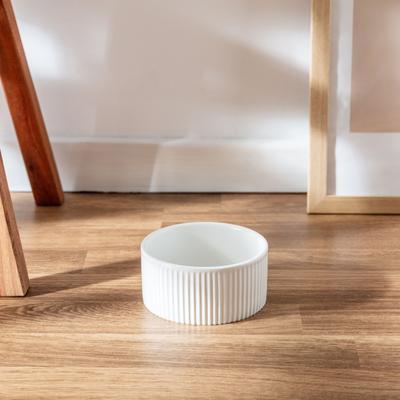 Show full view: Park Life Designs Jardin Ceramic Ribbed Effect Dog Bowls, 2 count, White, 2-cup slide 2 of 8