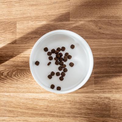 Show full view: Park Life Designs Jardin Ceramic Ribbed Effect Dog Bowls, 2 count, White, 2-cup slide 5 of 8