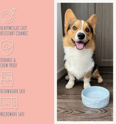 Park Life Designs Manor Ceramic Dog & Cat Bowl, Azure, 2 count, 2-cup slide 2 of 7