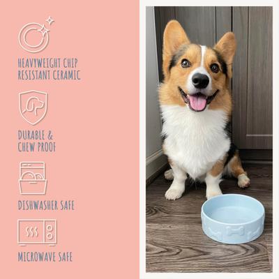 Show full view: Park Life Designs Manor Ceramic Dog & Cat Bowl, Azure, 2 count, 2-cup slide 7 of 8
