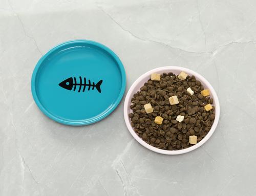 Show full view: Park Life Designs Oscar Ceramic Cat Bowl, Pink, 1-cup, 2 count slide 2 of 4